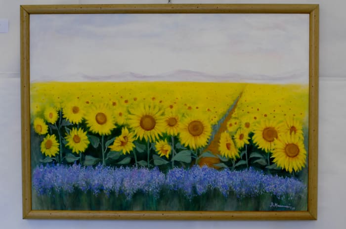 Mostra personale di Bruna Mannucci, Vecchiano 2017 — scatto 14