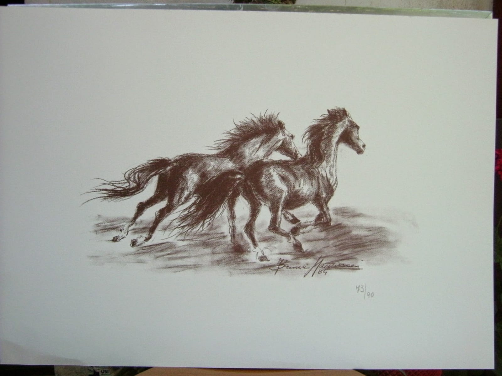 Cavalli al galoppo — Carboncino e sanguigna