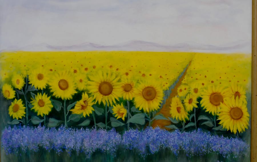 Girasoli con lavanda