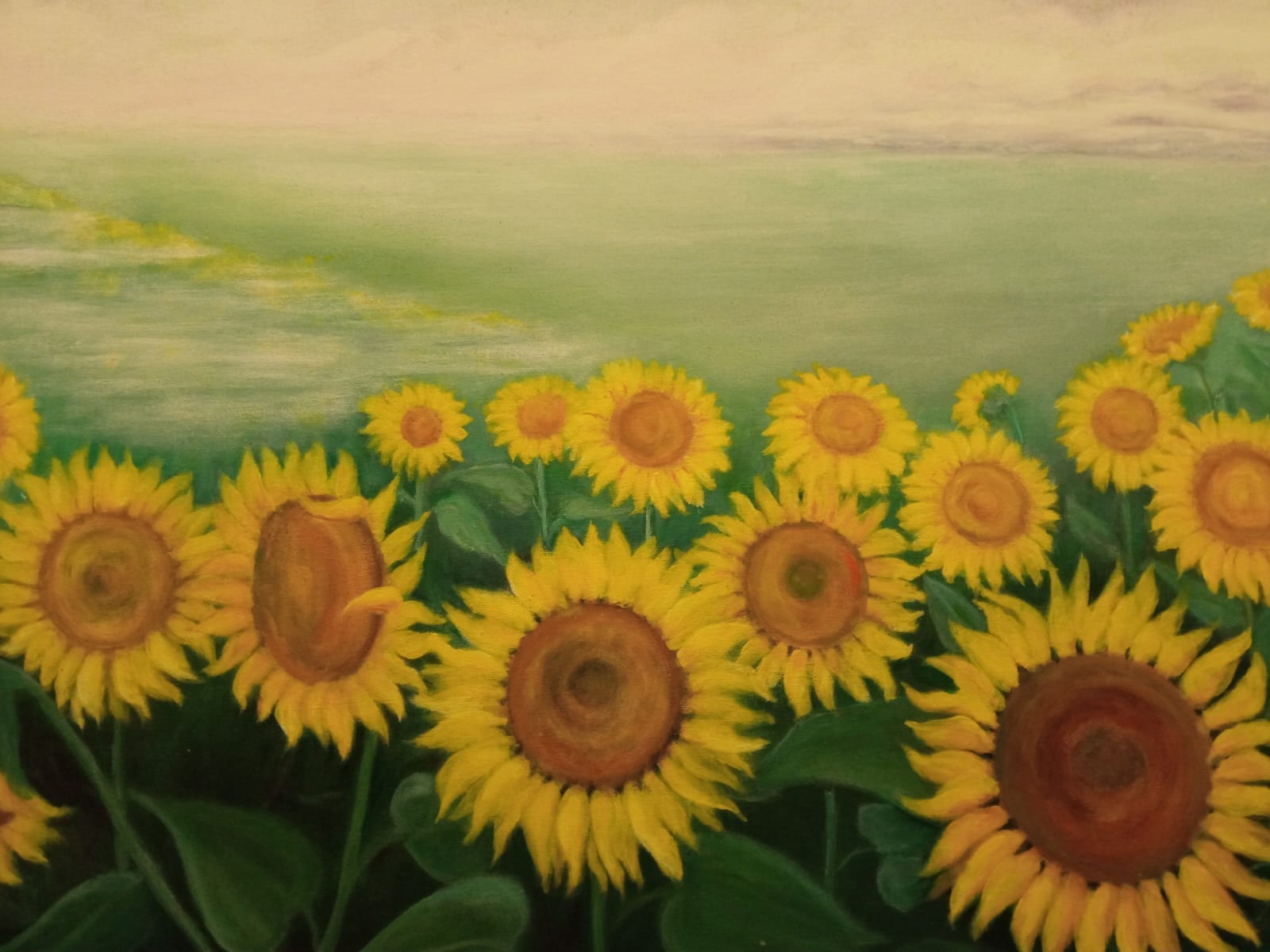 Bruna Mannucci, Girasoli — Un campo di girasoli in prima fila, una collina toscana sullo sfondo