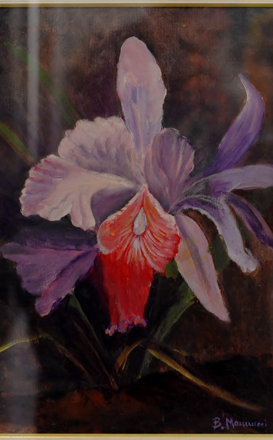 Orchidea